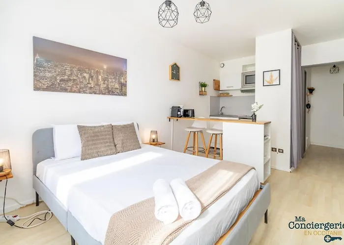 Heliot - Hypercentre - Proche Du Metro 公寓 圖盧茲