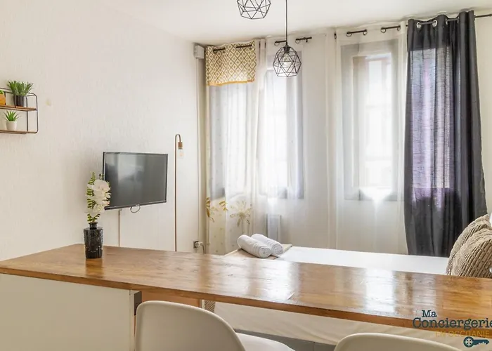 Heliot - Hypercentre - Proche Du Metro 圖盧茲